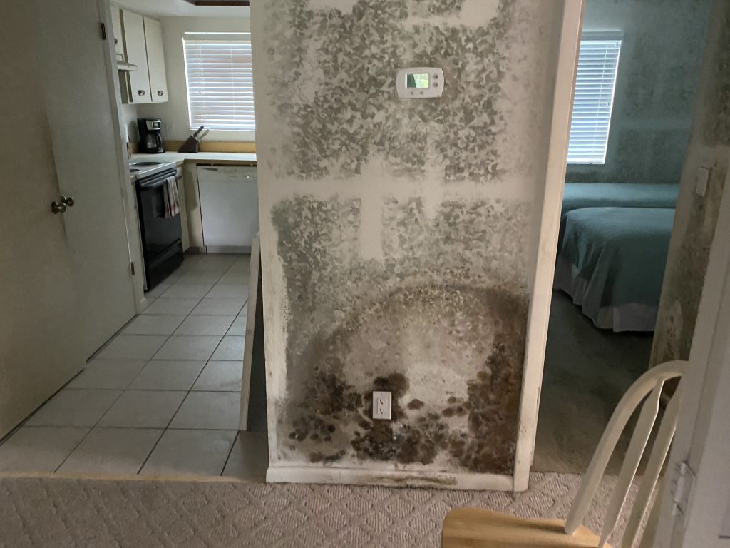 Mold Remediation Experts - On The Spot Restoration