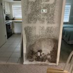 Mold Remediation Experts - On The Spot Restoration