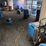 What Are the Common Signs of Water Damage? - On The Spot Restoration