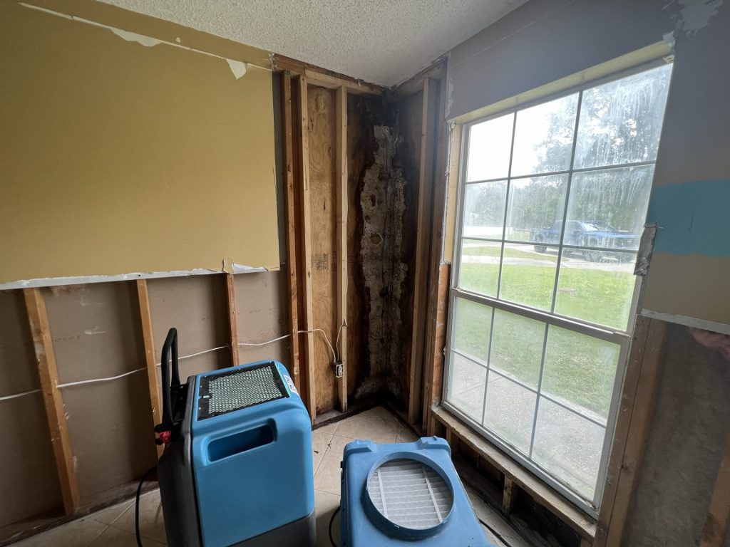 How Quickly Does Mold Grow After Water Damage in Florida - On The Spot