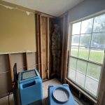 How Quickly Does Mold Grow After Water Damage in Florida - On The Spot