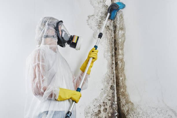 A person wearing protective gear cleans mold from a wall using a long brush, emphasizing safety and maintenance.