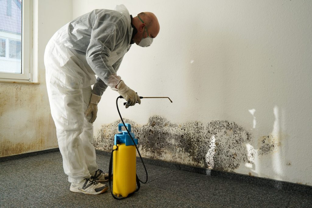 A person in protective gear sprays a wall with mold, addressing a serious cleanliness issue in a room. | On The Spot Restoration