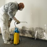 A person in protective gear sprays a wall with mold, addressing a serious cleanliness issue in a room. | On The Spot Restoration
