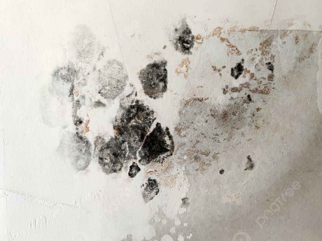 A textured wall showing stains and mold, with a mix of black, gray, and white tones, suggesting water damage or damp conditions.