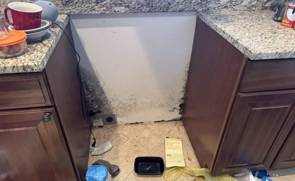 Cluttered kitchen space with dirty dishes, trash, and mold growth near the cabinets and floor.