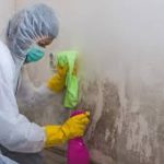 A person in protective gear cleans a wall affected by mold, using a spray bottle and a cloth.