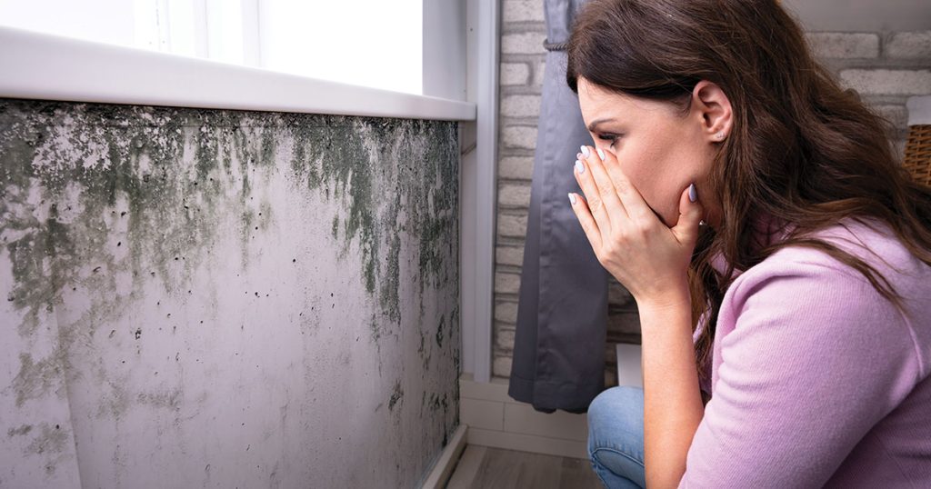 Mold Risks for Coastal Homes in Florida | On The Spot
