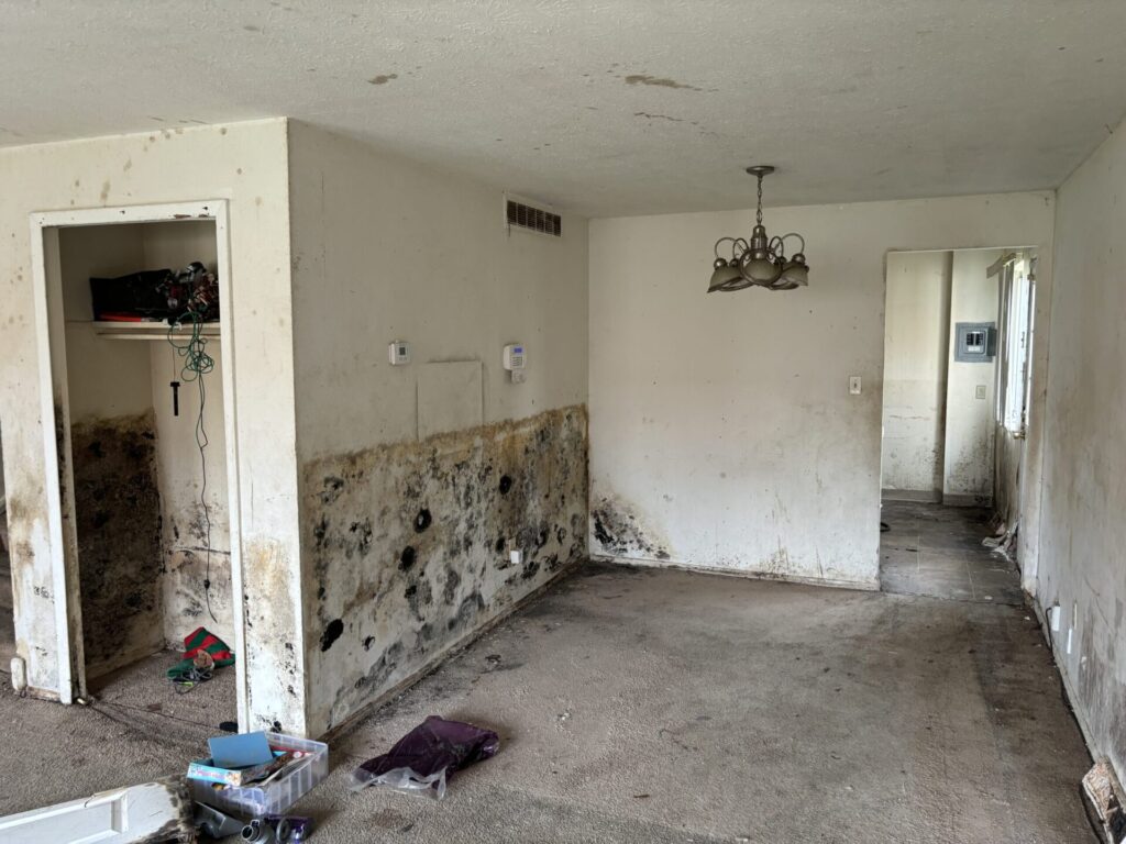 Mold in Florida Homes | On The Spot Restoration