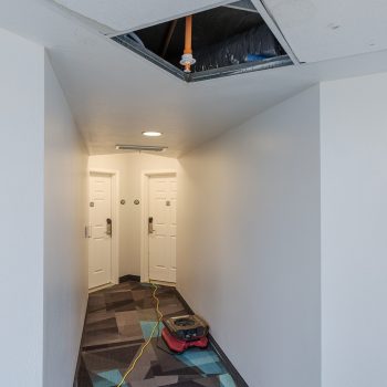 A corridor featuring two doors, a partially open ceiling, and a small vacuum cleaner on the carpet.