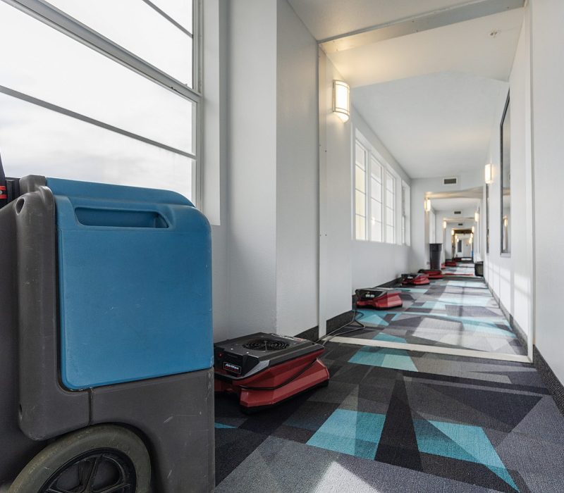 A long hallway features a carpet with geometric patterns and cleaning equipment along the floor, illuminated by natural light through large windows.
