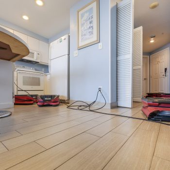 A kitchen area featuring wooden flooring, with cleaning equipment positioned on the floor and white cabinetry in the background.