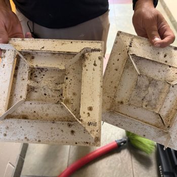 Mold growth in Daytona Beach, FL home
