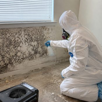 Mold remediation team member in PPE cleaning contaminated area